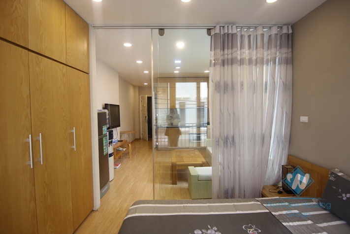 Quality full of natural light apartment for rent on Dang Thai Mai, Tay Ho